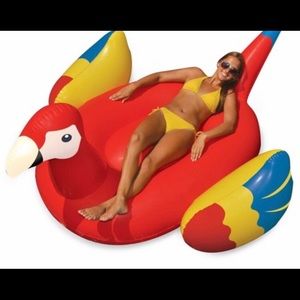 New In Box Inflatable Parrot Tube